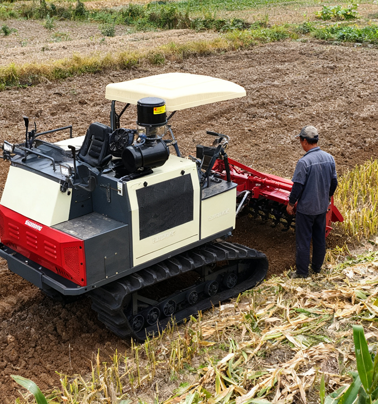 Cross-border delivery + rice-specific training