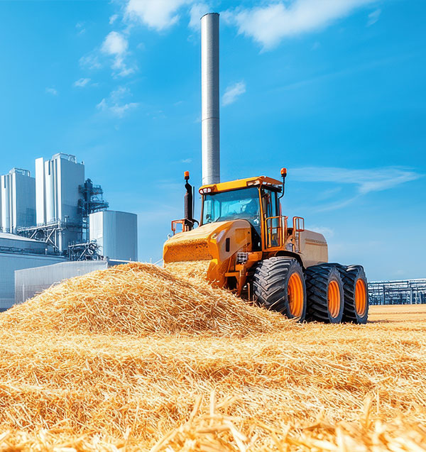 Full Industrial Chain Coverage Capability