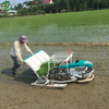 6 Rows Walking Rice Transplanter