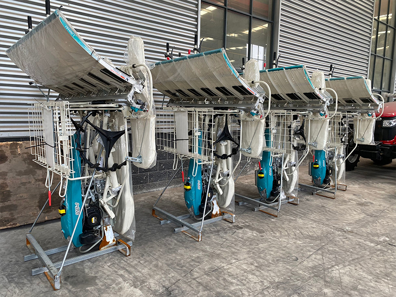 <span style="font-size:22px;"><strong>Efficient Transplanting Of Rice Seedlings</strong></span>