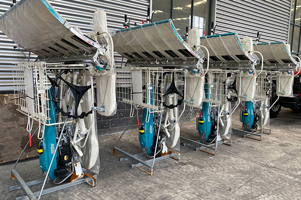 6 Rows Walking Rice Transplanter