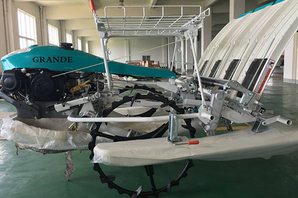 6 Rows Walking Rice Transplanter