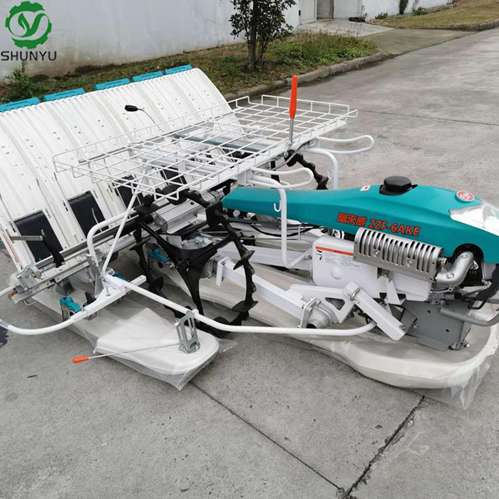 6-row walking rice transplanter in field