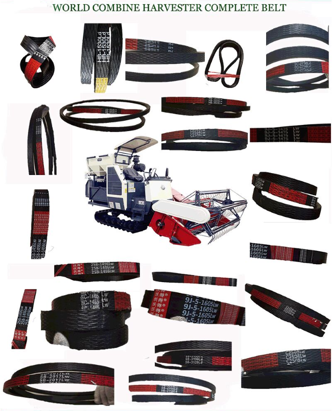 WD Belt.png